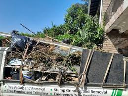 Best Shed Removal  in Clay, AL